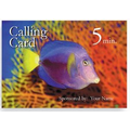 Opti Lenticular Phone Cards (2 Phase)